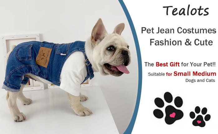⏰LAST DAY 49% OFF - Dog Denim Overalls🐱🐶(For cats and dogs)