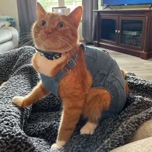 ⏰LAST DAY 49% OFF - Dog Denim Overalls🐱🐶(For cats and dogs)