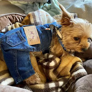 ⏰LAST DAY 49% OFF - Dog Denim Overalls🐱🐶(For cats and dogs)